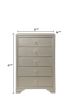 1pc Modern Glam Style Champagne Finish Glam Five Drawer Chest Embossed Crocodile Pattern Wooden Bedroom Furniture