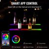 VEVOR LED Lighted Liquor Bottle Display, 2 Tiers 30 Inches, Illuminated Home Bar Shelf with RF Remote & App Control 7 Static Colors 1-4 H Timing
